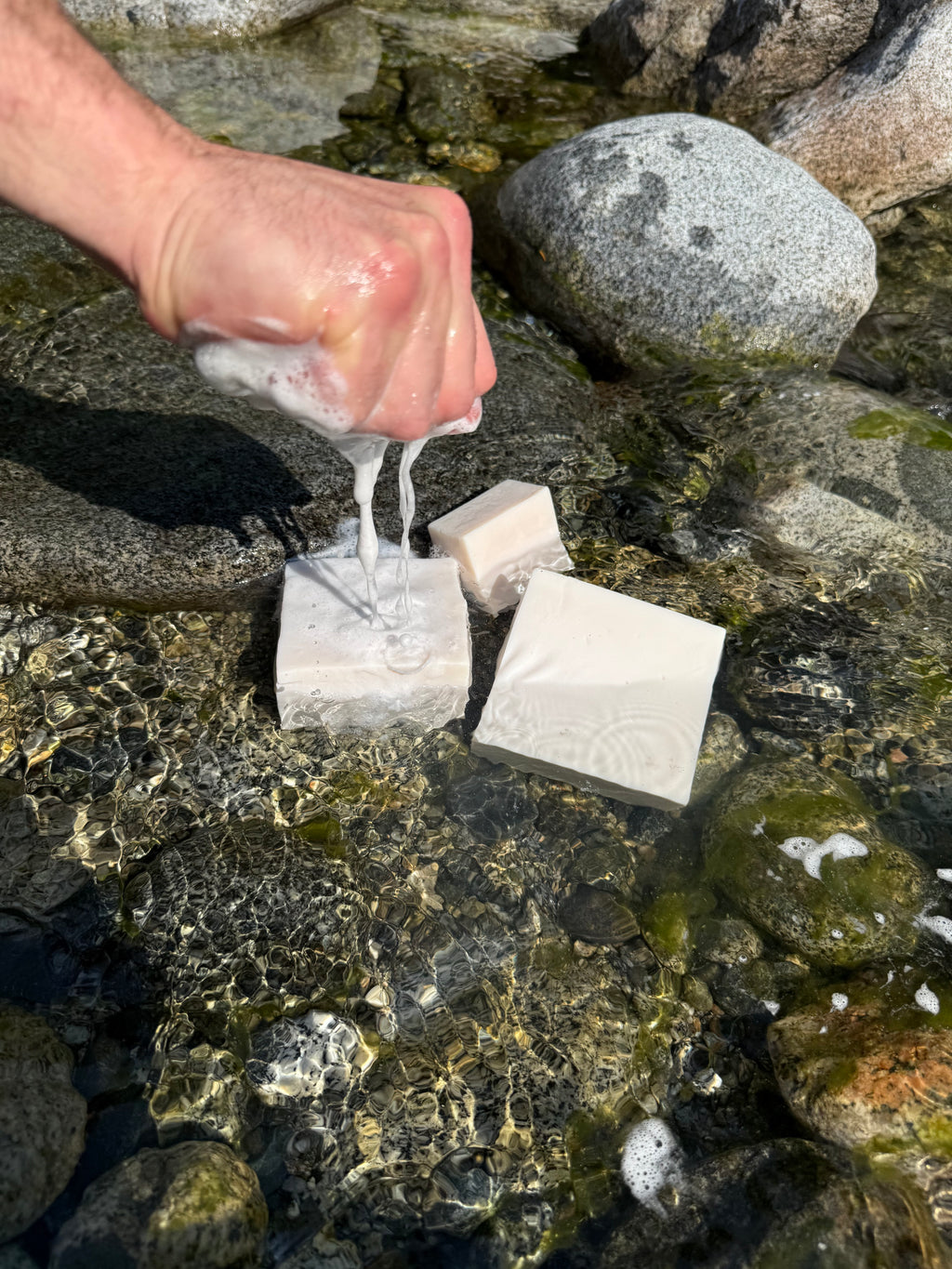 Clean Core - Everyday Dish Soap Bar
